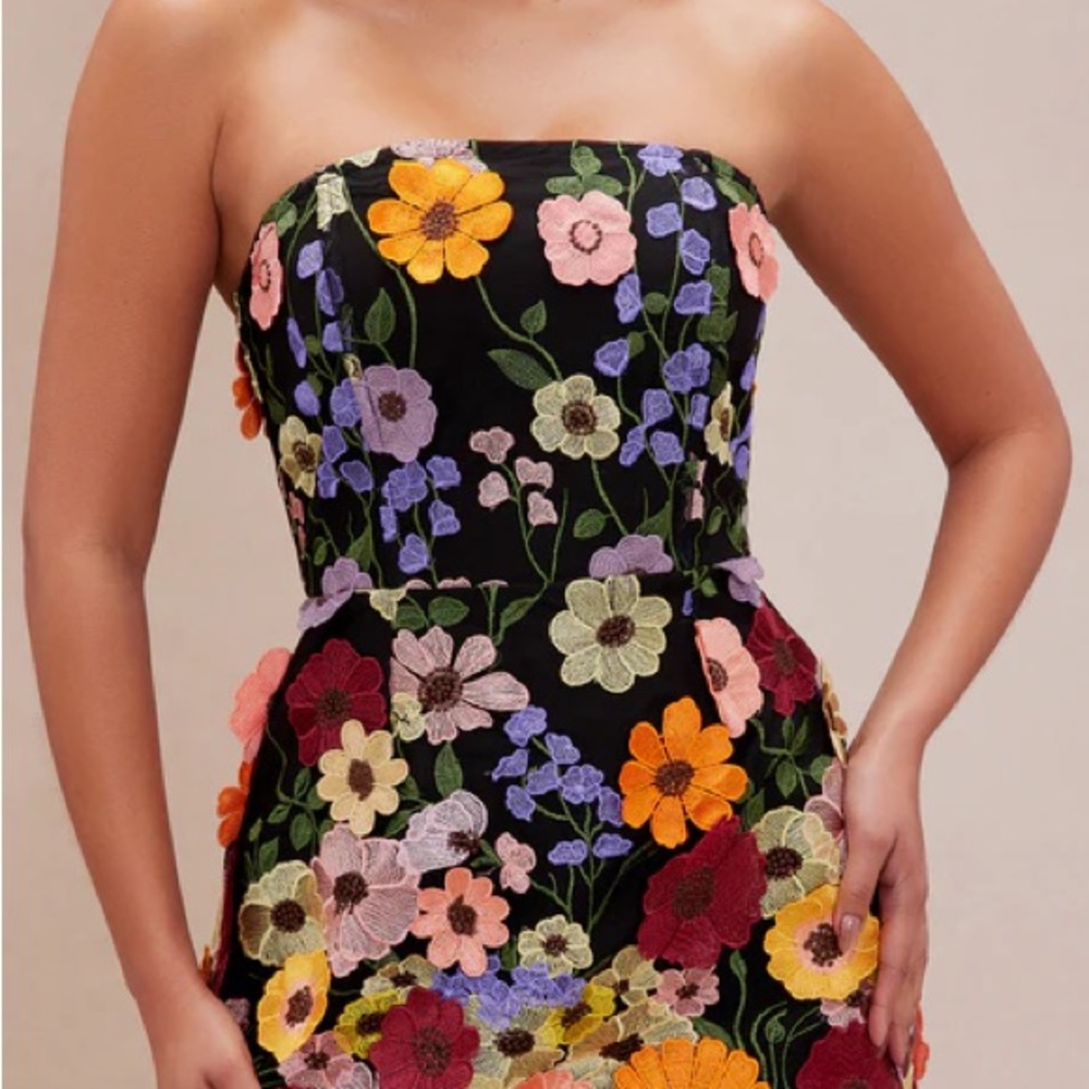 Marcella Embroidered A-Line Mini Dress - Black/combo - Picture 3 of 8